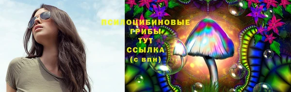 гашиш Арсеньев