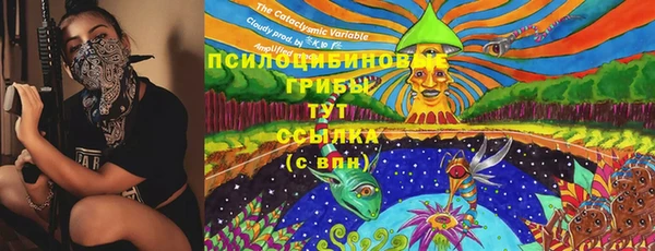 спиды Армянск