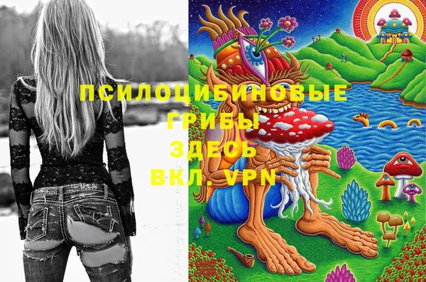 спиды Армянск