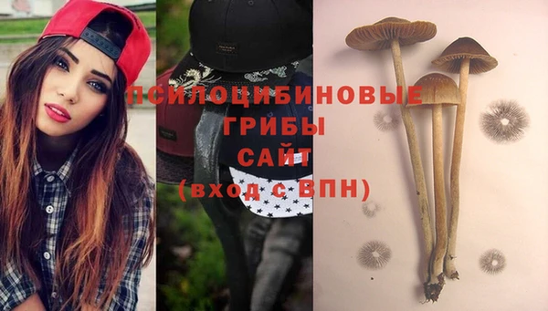 гашиш Арсеньев